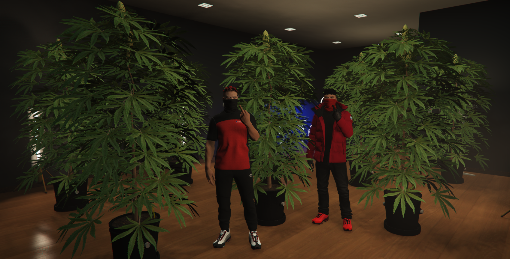 Gang and criminal roleplay grow house scene